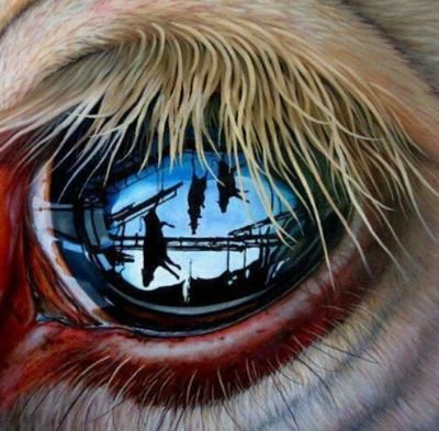 die Tierquelereien müssen ein ende haben den auch Tiere haben ein Herz
DEN TIEREN TUT ES WEH
@Hung(A)ry_Dogs