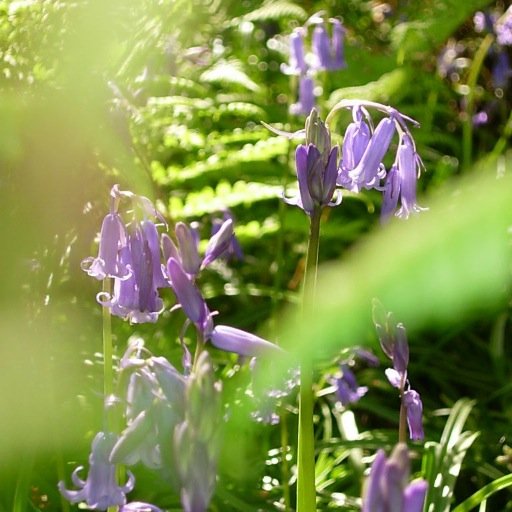 In support of renewables, energy efficiency and clarity in the UK energy system.