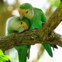 Siddhartha Basu (@012dcfca93e24f3) Twitter