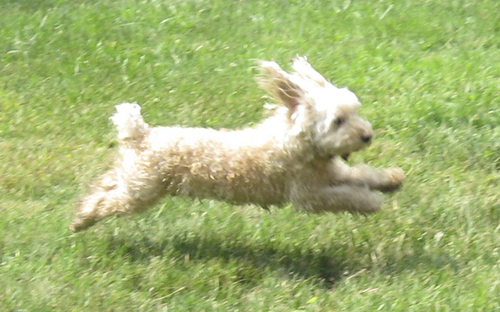 Hcat's profile picture. I am a writer working on my life's story.