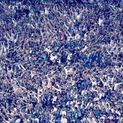 MohammedOx's profile picture. 