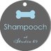 Shampooch@StudioK9 (@shampooch_k9) Twitter profile photo Shampooch@StudioK9 (@shampooch_k9) Twitter profile photo