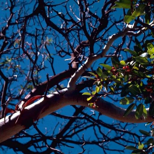 TopNotchTree111's profile picture. A well-manicured lawn will add curb appeal to your property. Keep it in pristine condition with the commercial and industrial landscaping!
(276) 699-1415