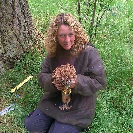 Ecologist with a passion for conservation and natural history particularly birds of prey.