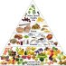 TheNutritionNetwork (@nutritionnetwor) Twitter profile photo TheNutritionNetwork (@nutritionnetwor) Twitter profile photo