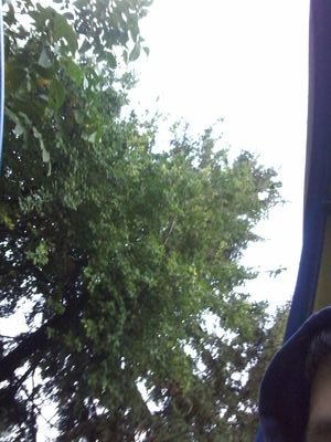 mert234567's profile picture. 