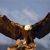 Stratton Elementary (@strattonmnps) 's Twitter Profile