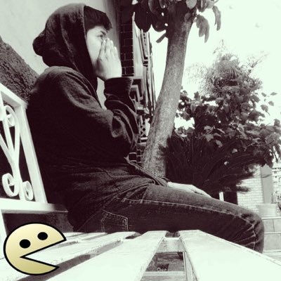Omar Duran Torres On Twitter Mono Negro De Luto Mono Rosa