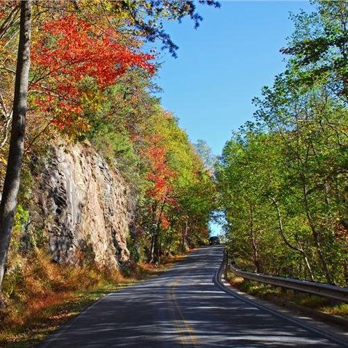 Amicalola_Falls's profile picture. The OFFICIAL Twitter account for Amicalola Falls State Park & Lodge, the premier destination for adventure seekers in the north Georgia mountains.