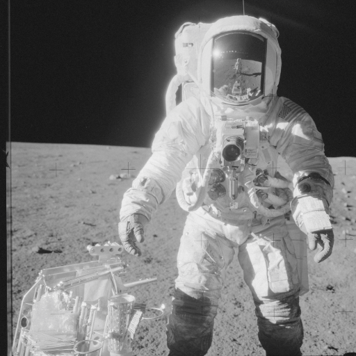 iamwuer's profile picture. 