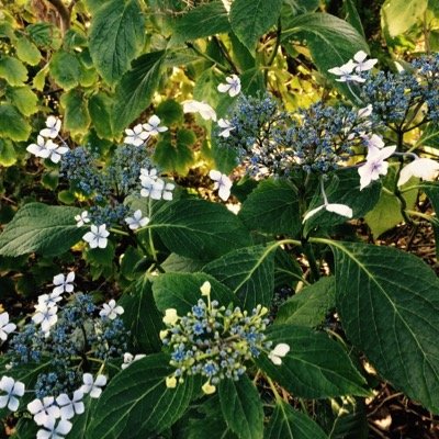 canterburrytale's profile picture. Music lover, life is too short so live your life to the full ! When The Music Stops East Midlands ..Speed dating in Leicester and Nottingham.