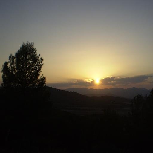 Juana1414's profile picture. 