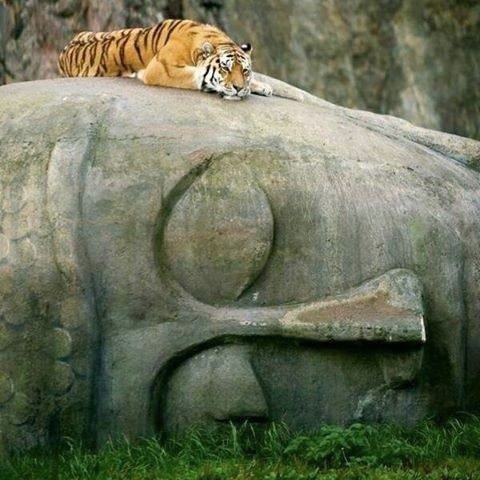 PsychomotEnerJ's profile picture. Futur psychomotricien, sportif et curieux. Grpe Facebook : Trait d'Union Paramédical. Etudiant(e)s, pros et curieuses/eux. Allez-y ! #psychomot #paramedical