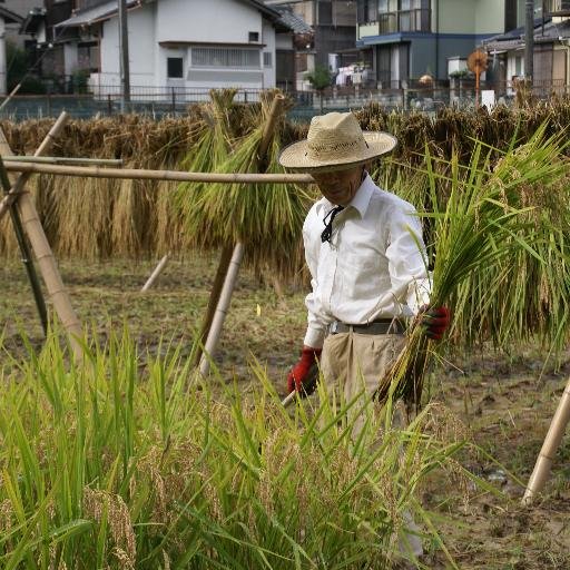 憲法を守る政治、原発即時ゼロへ、自然エネルギーへ転換の運動続けています。地域では地産・地消、自給自足のまちづくりに取り組んでいます。引き続き情報提供と、お付き合いをよろしくお願いします。