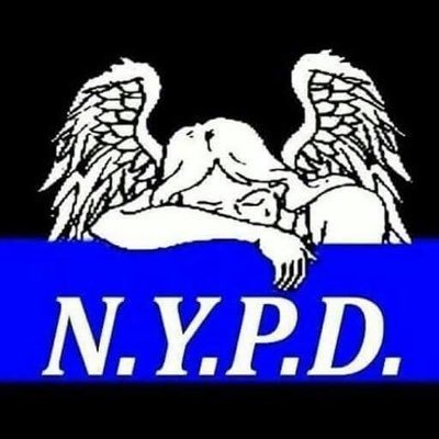 policeradio1's profile picture. Mainly scanner audio of NYPD 10-13's, 85's, Officer Involved Shootings, foot/car chases. MOS? Need a recording? Let me know! https://t.co/I5uVlclDA7