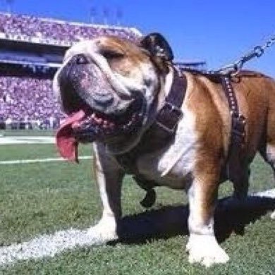 Follower of Christ - Mississippi State Alum - Go Dawgs! Hail State! Texas Rangers. Dallas Cowboys. Ticket P1