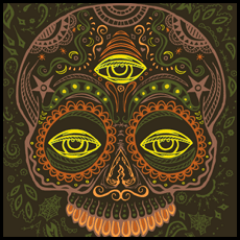 TrineSight's profile picture. 