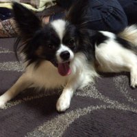 あ (@do8577aaa) 's Twitter Profile