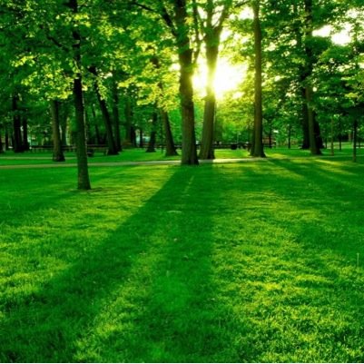 صلّى عليگ الله يا خير الورى ❣ «إعملوا فكل ميسر لما خلق له»