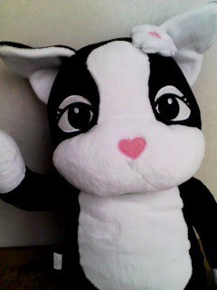 REBECCA555's profile picture. 