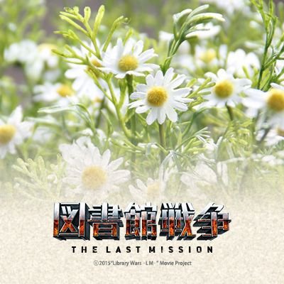 図書館戦争 続編の続編企画始動 今日はカミツレデートの日です みなさん お祝いしてますか わたしはもちろん チーズケーキと カモミールティーを飲みました カミツレ記念日 図書館戦争三大cp記念日週間