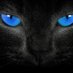 Gennagio (@genna1962) Twitter profile photo Gennagio (@genna1962) Twitter profile photo