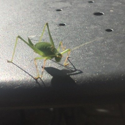 fame_punk's profile picture. 