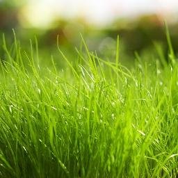 ststst1261's profile picture. 