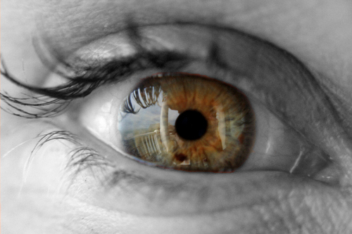 twiggyboodles's profile picture. I love photography and animals, I am in my third year of veterinary school and I take pictures when I have time