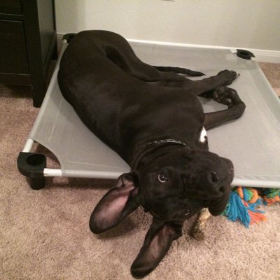 MathandPirates's profile picture. math teacher leader, instructional coach, dog mom, crafter, pirate, Auntie, Ravenpuff