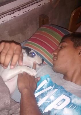 GonzzaPavon's profile picture. ReDaleLeon