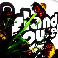 Island House (@islandhousealc) 's Twitter Profile