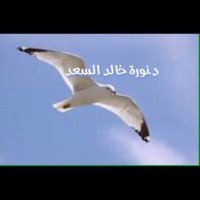 د.نورة خالد السعد(@Dr_NoraAlsaad) 's Twitter Profileg