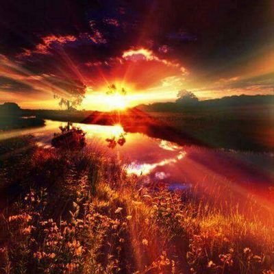 antonio12258773's profile picture. 