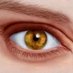 Wrinkles & Eye Bags (@wrinkleseyebags) Twitter profile photo Wrinkles & Eye Bags (@wrinkleseyebags) Twitter profile photo