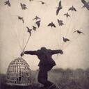 Andrew Gottlieb - @agottlieb - Twitter