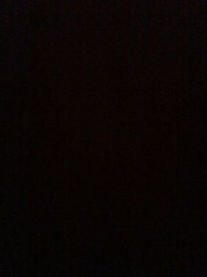 pabulo_sidnei's profile picture. 