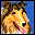 WorkingDogs's profile picture. Official Twitter account for http://t.co/i8hUKAX2Zq with resources on dog training, breeds, sports, more.