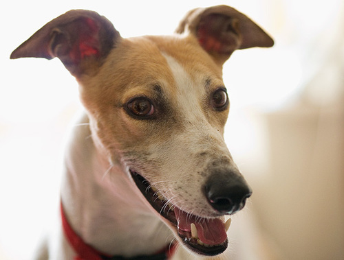 Helen81's profile picture. 