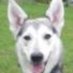 K (@kelewolf) Twitter profile photo K (@kelewolf) Twitter profile photo