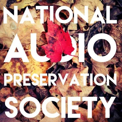 National Audio Preservation Society - A Full Service Recording Studio & Creative Habitat owned by Nicholas Rowe & Jonathan Hape.