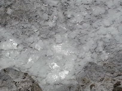 veliask's profile picture. 