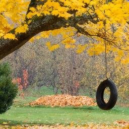 shudhanshut01's profile picture. 