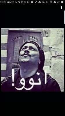 IphoneMnor's profile picture. קבלן לעבודות שיפוצים וגמר ברמה אחרת