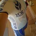 tonya bray - @yormtbchick - Twitter