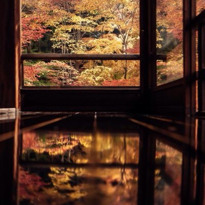 jukigi's profile picture. 