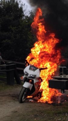 MarkusGesser's profile picture. 