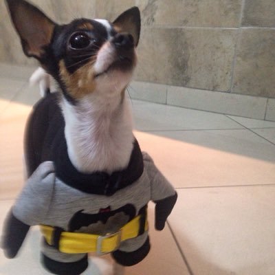 andreamendozaw's profile picture. Entre películas,series y libros se me pasa la vida. Bruce ❤️