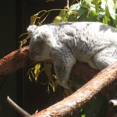 Notpossible9's profile picture. 