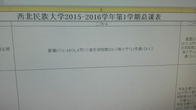 jimzhang7's profile picture. 